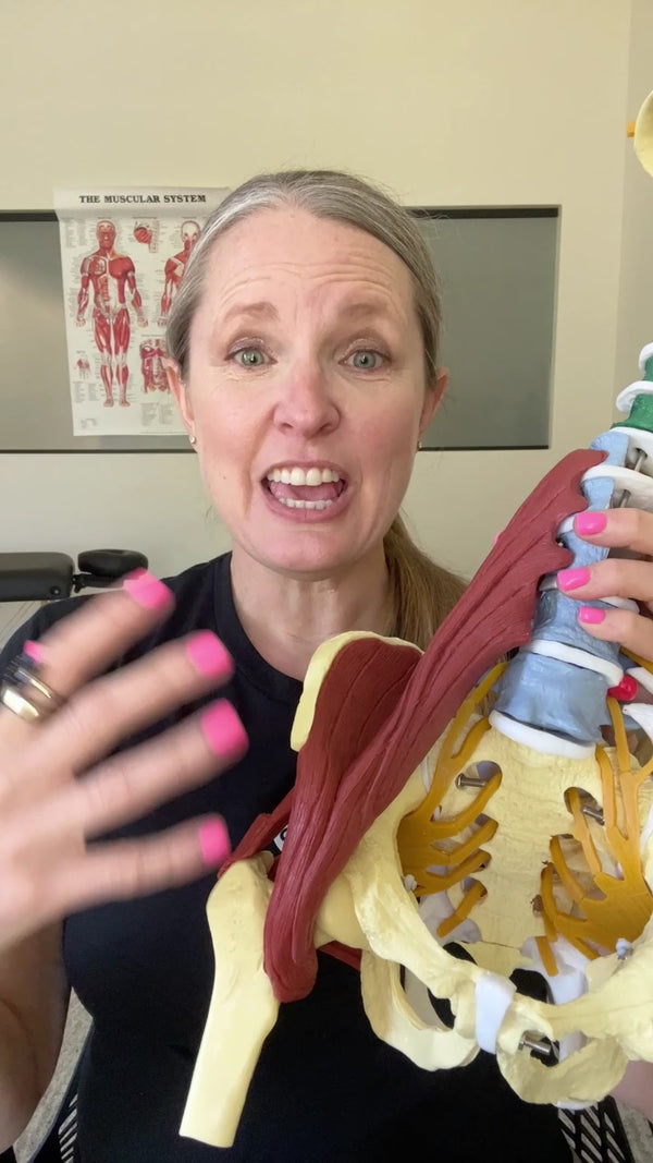 Hip crease pain.mp4